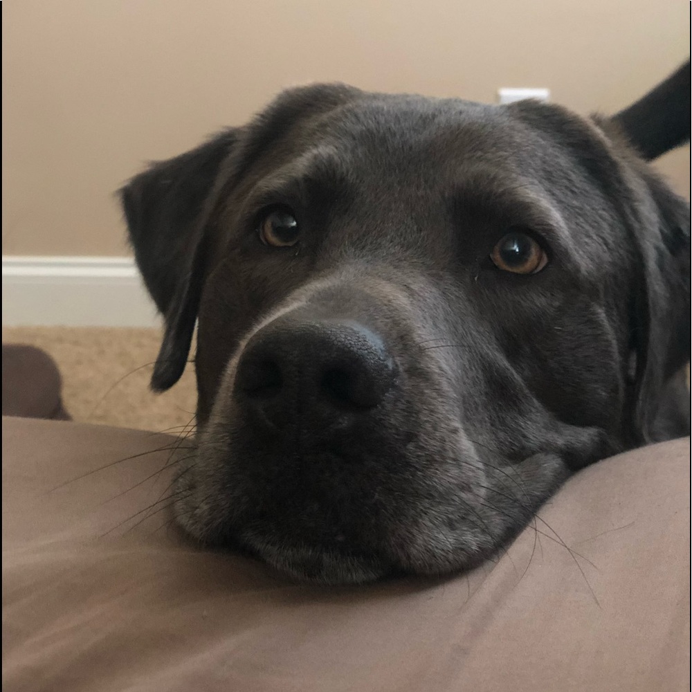 Meet your Posher, Tyler